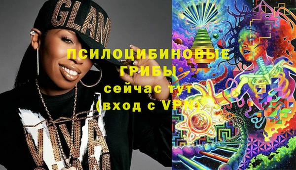 ГАЛЛЮЦИНОГЕННЫЕ ГРИБЫ Балабаново