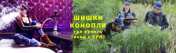 ГАЛЛЮЦИНОГЕННЫЕ ГРИБЫ Балабаново