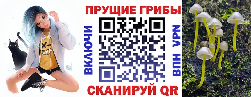 Псилоцибиновые грибы прущие грибы  купить наркотики сайты  Коммунар 