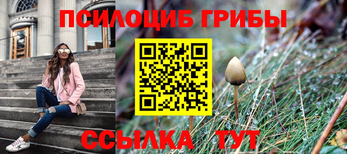Коммунар  Галлюциногенные грибы прущие грибы  Вход с VPN 