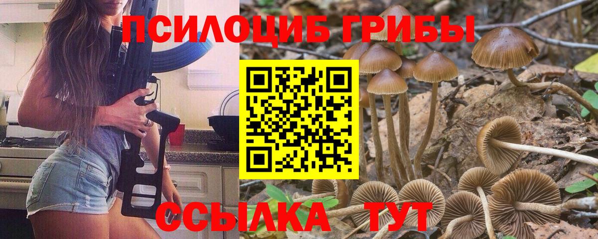 Псилоцибиновые грибы Cubensis Коммунар